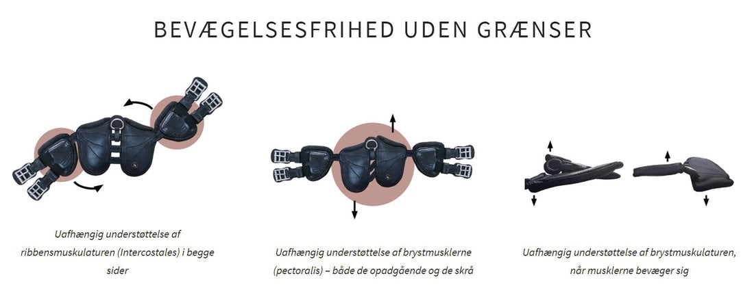 SCHARF Freedom - Optimal frihed til hesten!