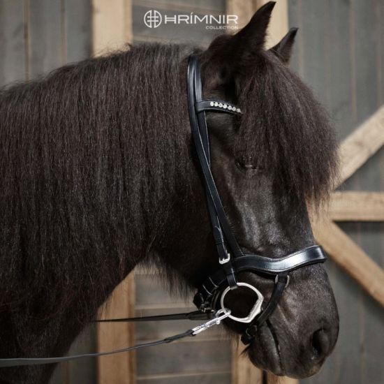 Hrimnir anatomisk næserem_1