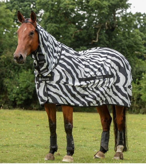 Bucas Zebra dækken | "Sweet-Itch" thumbnail