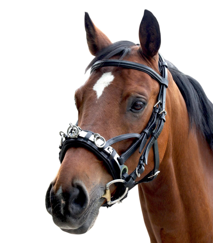 Læder kapsun thumbnail