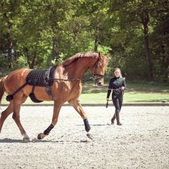 Catago fir-tec træningsunderlag med stropper. Styrker over og underlinje, samt bagpart på hesten