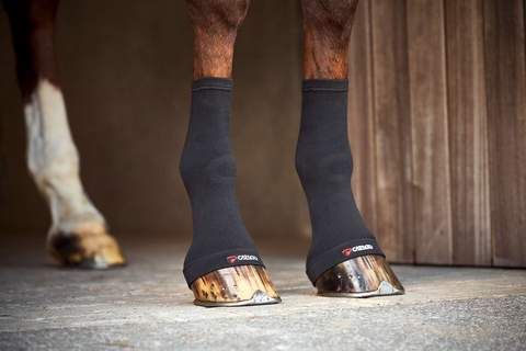 Catago-fir-tech-hoof-socks