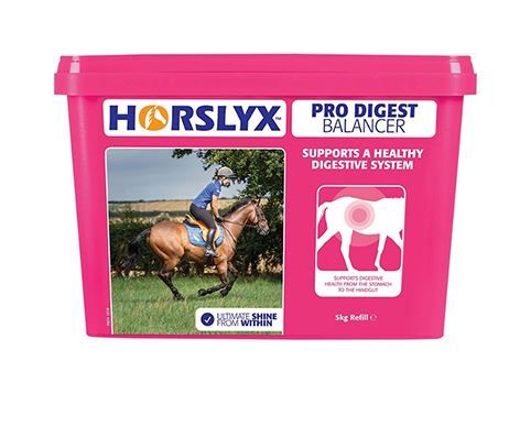horselyx pro digest 5 kg