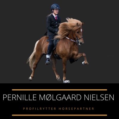 Profilrytter Pernille M. Nielsen