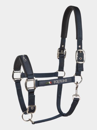 equiline timothy grime pony
