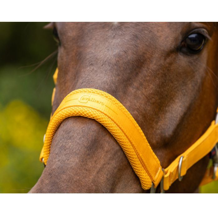covalliero grime til hest i farven gul nærbillede af logo