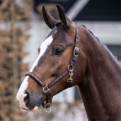 Elegant mørkebrun grime, perfekt til din hest! Stil og komfort i ét. #hesteliv 🐴