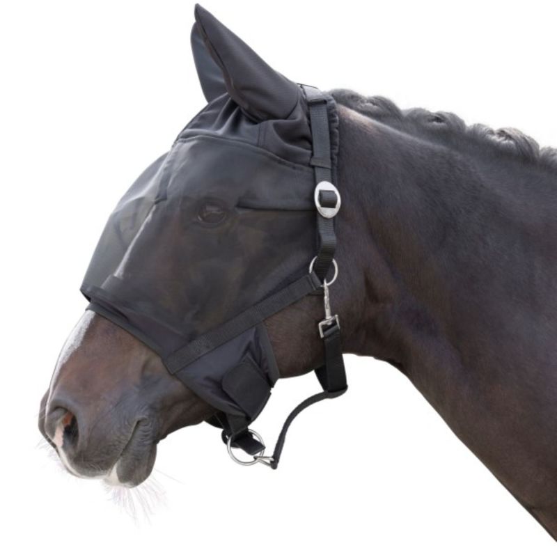 Insektmaske til hest på grime vist på hest