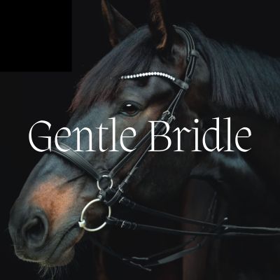 Gentle Bridle