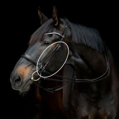 Gentle bridle kindstykke miljø