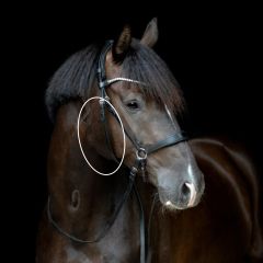 Gentle bridle lang kæberem miljø