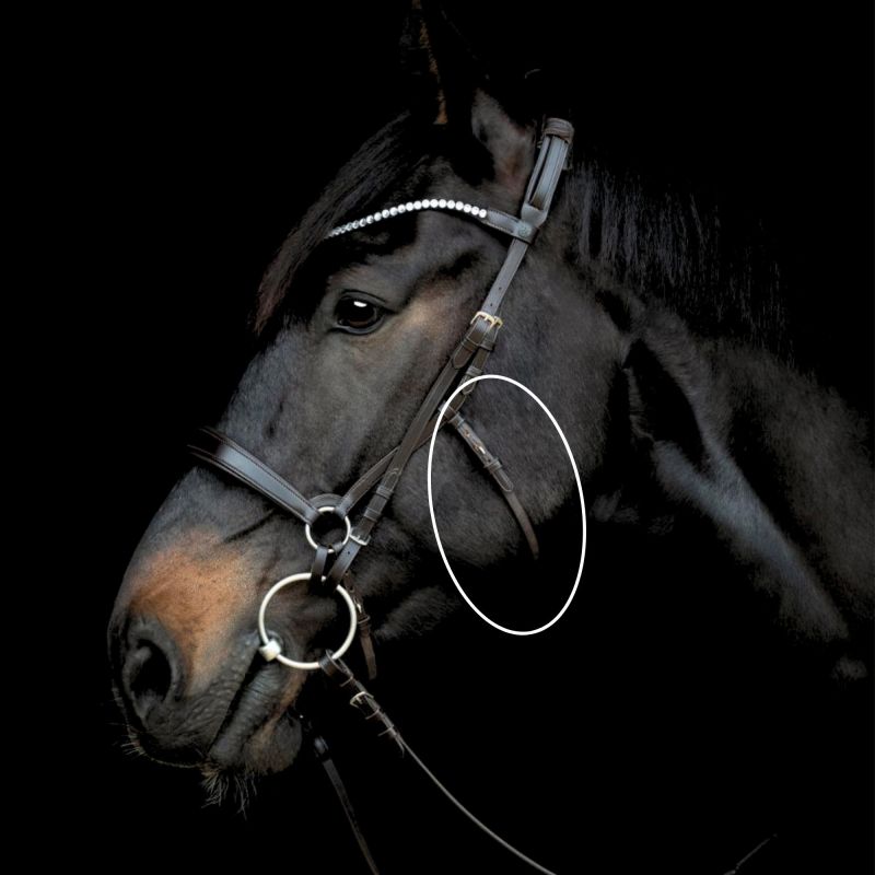 Gentle bridle midter kæberem miljø