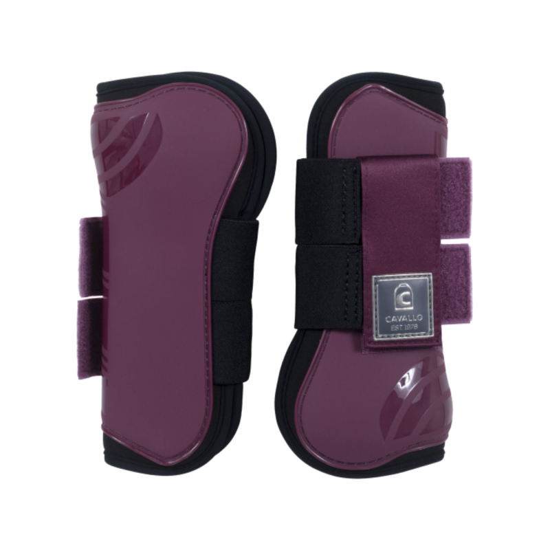Cavallo "holda" Gamache | Violet