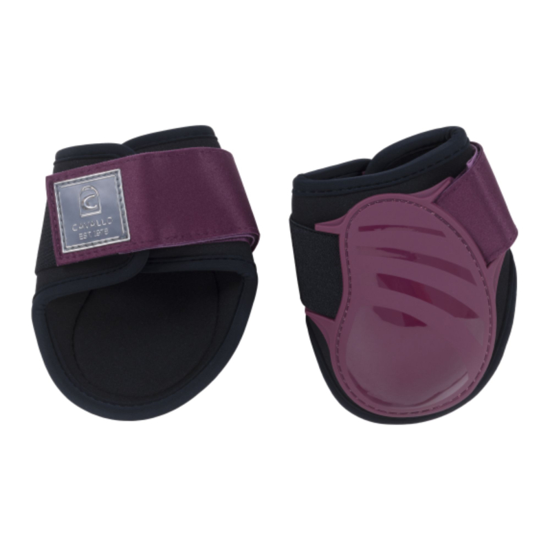 Cavallo "habor" Kodegamache | Violet