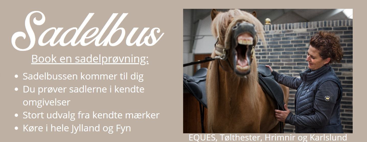 /sadelproevning