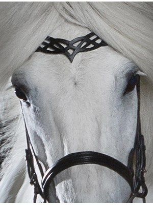 HRIMNIR "Heritage B"