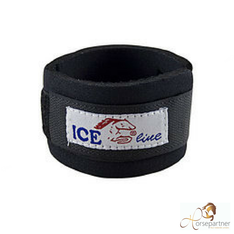Ice-Line Kodeleds beskytter - Sort thumbnail