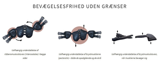 SCHARF Freedom - Optimal frihed til hesten!