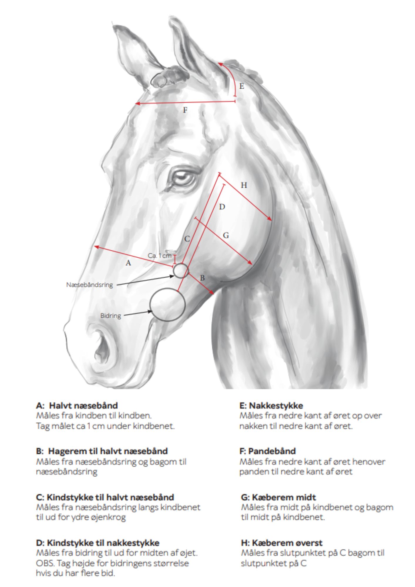 Målskema Gentle bridle